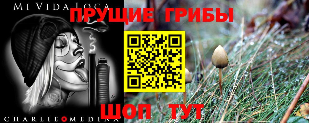 Галлюциногенные грибы Psilocybine cubensis  Вход с VPN  Галлюциногенные грибы мицелий  Стрежевой 